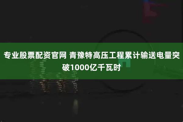 专业股票配资官网 青豫特高压工程累计输送电量突破1000亿千瓦时